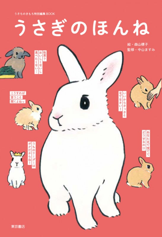 うさぎのほんね うさぎのきもち特別編集BOOK