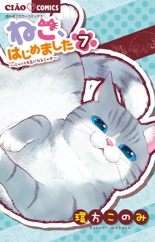 ねこ、はじめました (7) (ちゃおフラワーC)