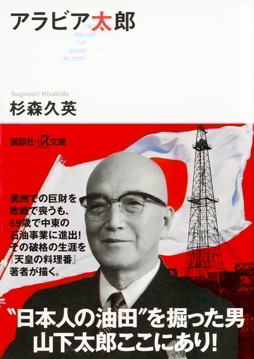 アラビア太郎 (講談社+α文庫)