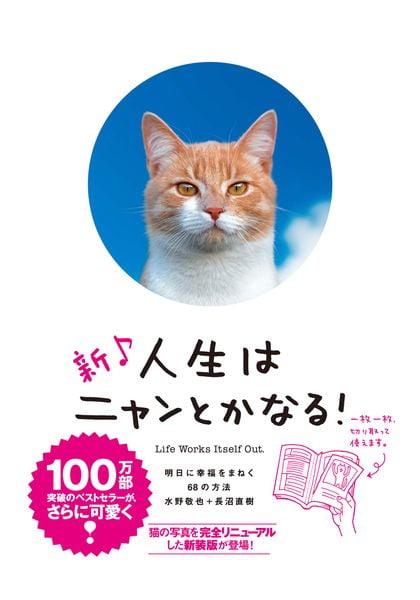 新♪ 人生はニャンとかなる!