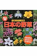 日本の野草 (山溪カラー名鑑)