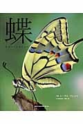 蝶/BUTTERFLY