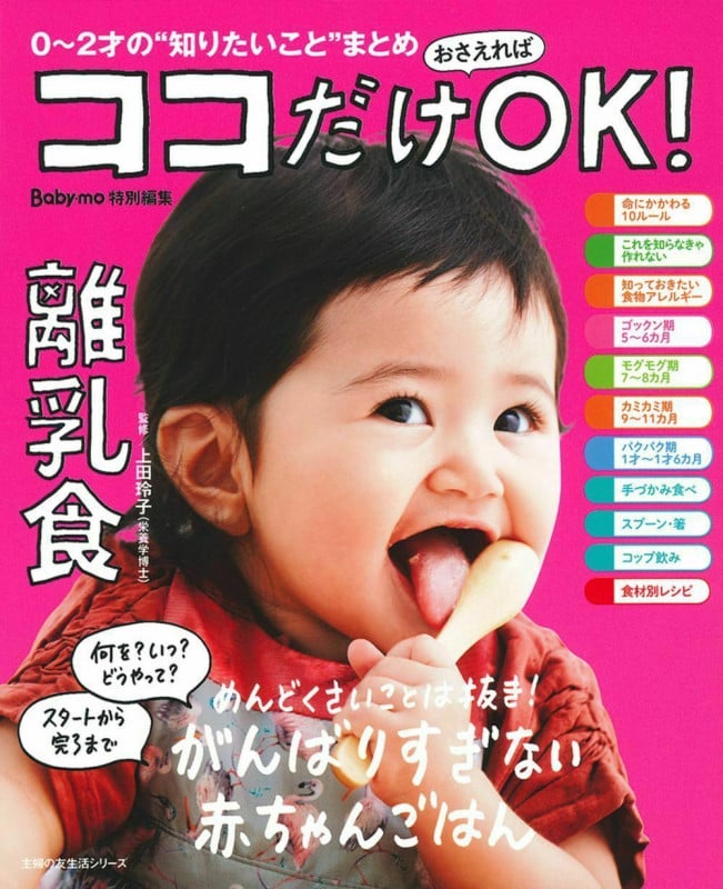 ココだけおさえればOK!離乳食 (主婦の友生活シリーズ)