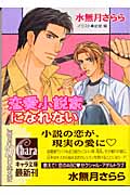 恋愛小説家になれないの詳細を見る