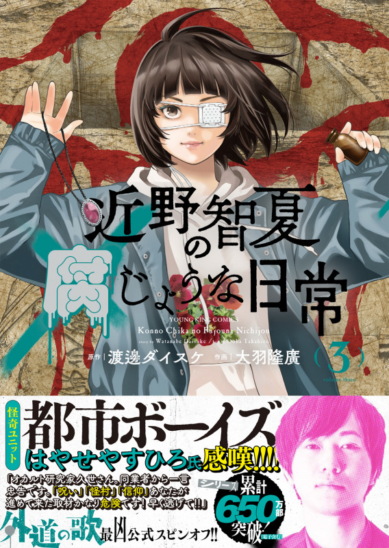近野智夏の腐じょうな日常 3 (3巻) (YKコミックス)