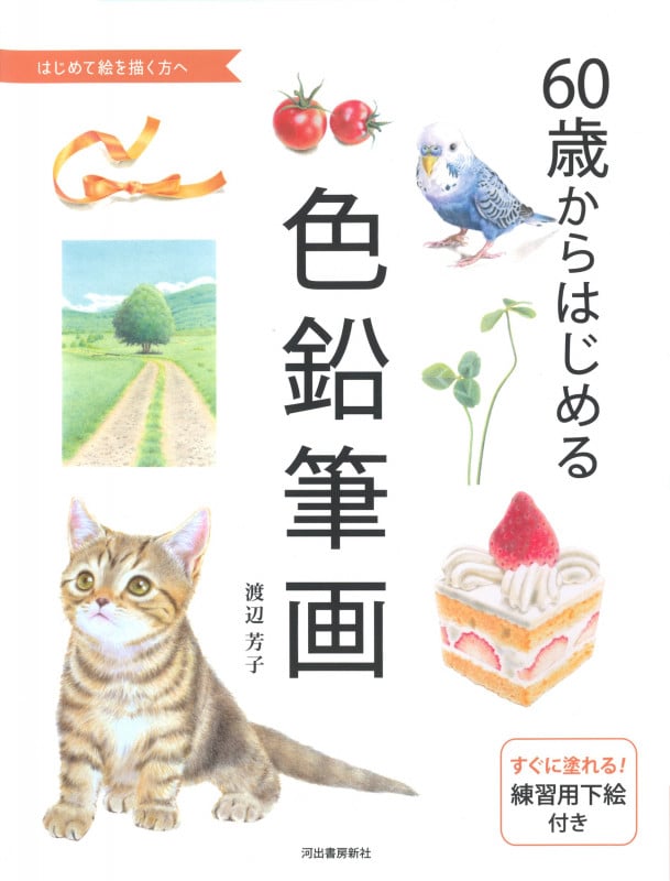 夢さがし アルフィー・高見沢俊彦物語 | 渡辺芳子のあらすじ・感想