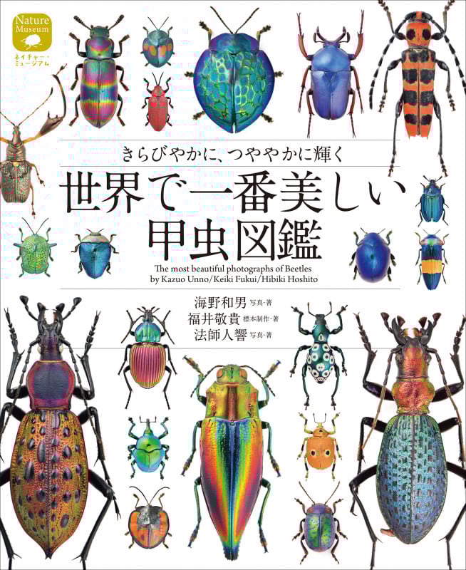 世界で一番美しい甲虫図鑑 きらびやかに、つややかに輝く (ネイチャー・ミュージアム)