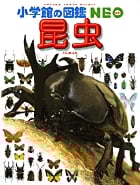 昆虫 (小学館の図鑑NEO 3)