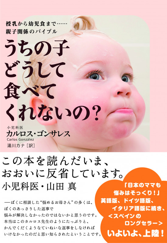 うちの子どうして食べてくれないの?  授乳から幼児食まで・・・・・・親子関係のバイブル