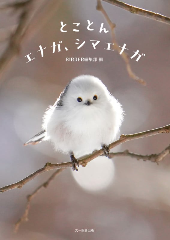とことんエナガ、シマエナガ | BIRDER編集部のあらすじ・感想 - ブクログ
