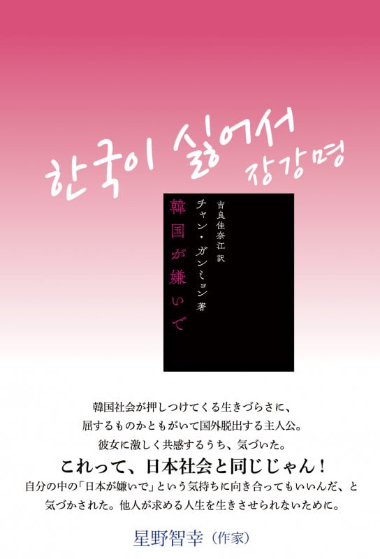 韓国が嫌いで