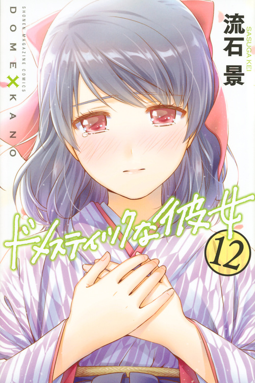 ドメスティックな彼女 (12) (マガジンKC)