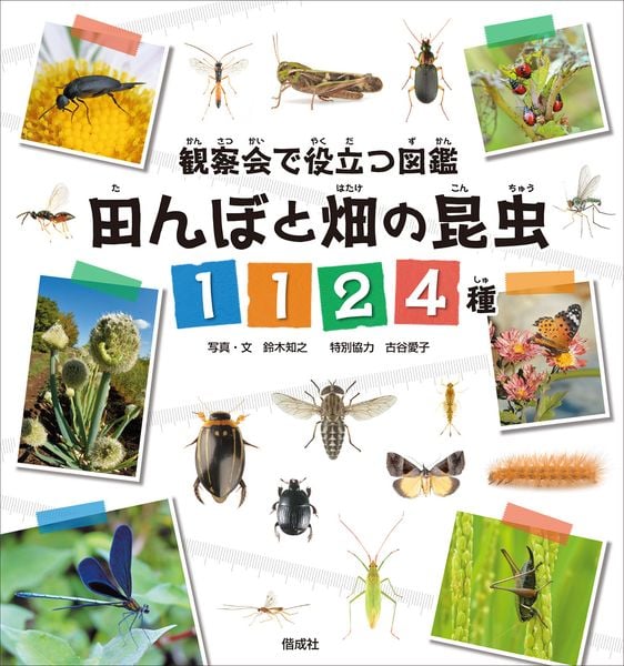 田んぼと畑の昆虫1124種 観察会で役立つ図鑑
