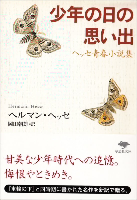 少年の日の思い出 ヘッセ青春小説集 (草思社文庫)