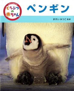 ペンギン (くらべてみよう!どうぶつの赤ちゃん 10)