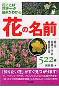 花の名前 庭の花・花屋さんの花・園芸店の花522種