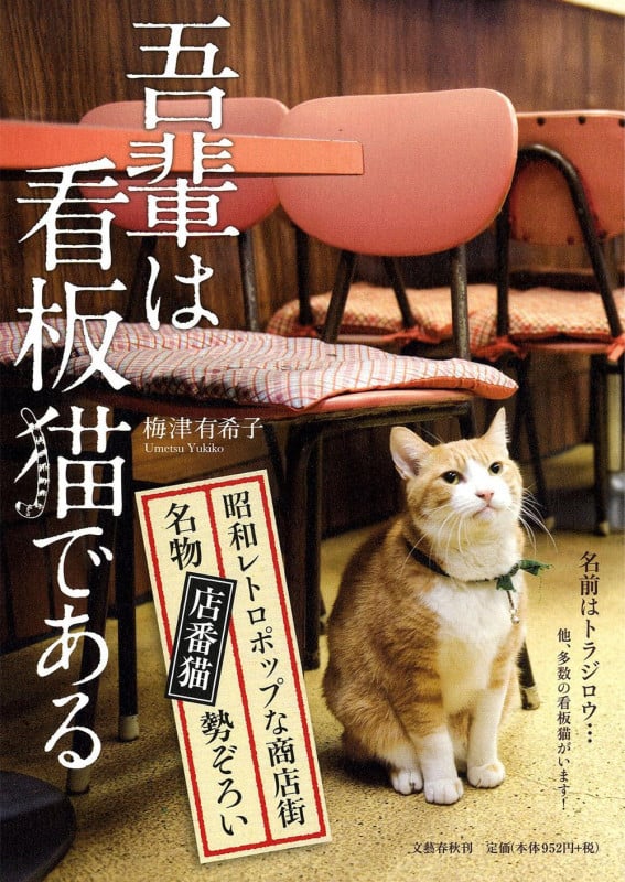 吾輩は看板猫である
