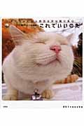 これでいいのだ かご猫ほっこり写真集