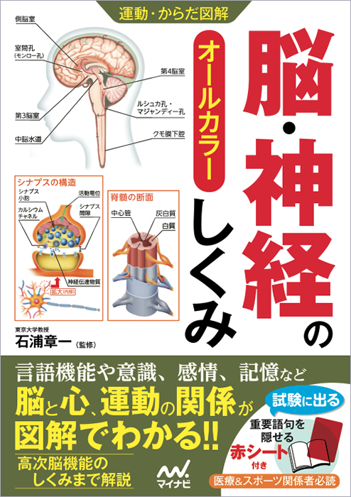 脳・神経のしくみ オールカラー (運動・からだ図解)