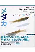 メダカ 育てて、しらべる 日本の生きものずかん 8 (育てて、しらべる 日本の生きものずかん)
