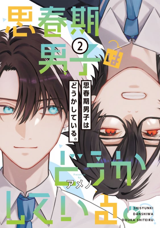 思春期男子はどうかしている。(2) (電撃コミックスNEXT)