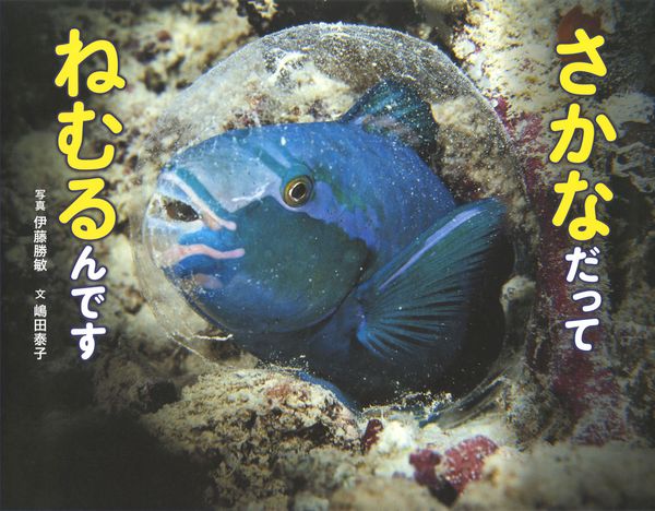 さかなだって ねむるんです (ふしぎいっぱい写真絵本 28)