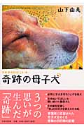 奇跡の母子犬