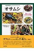 オサムシ 飛ぶことを忘れた虫の魅惑