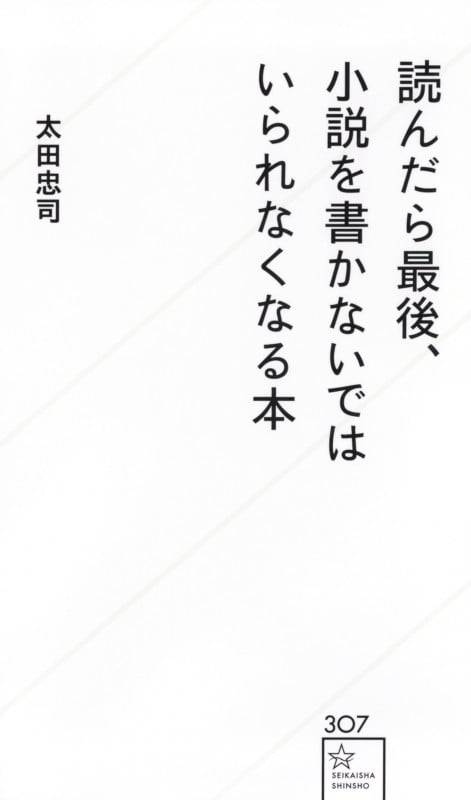 読んだら最後、小説を書かないではいられなくなる本 (星海社新書)
