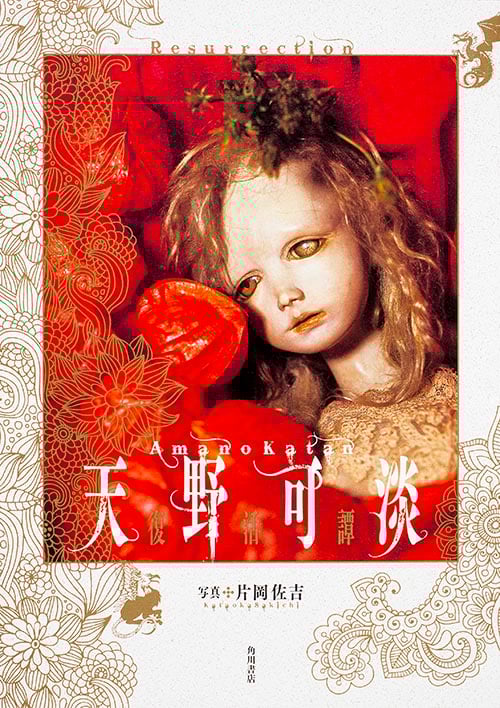 天野可淡 復活譚  の詳細を見る