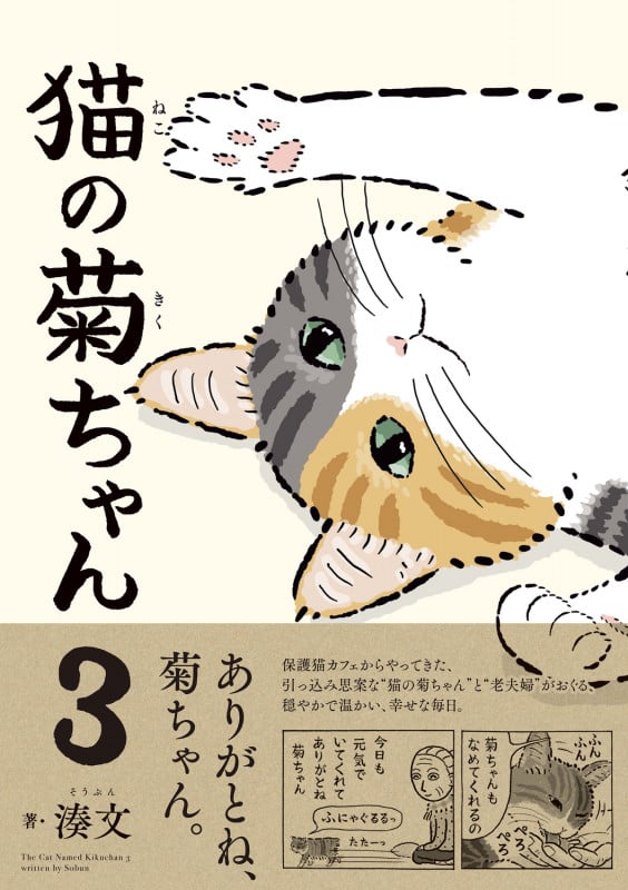 猫の菊ちゃん 3