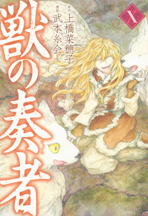 獣の奏者(10) (シリウスKC)の詳細を見る