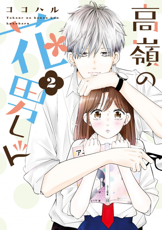 高嶺の花男くん (2) (Colorful! C)