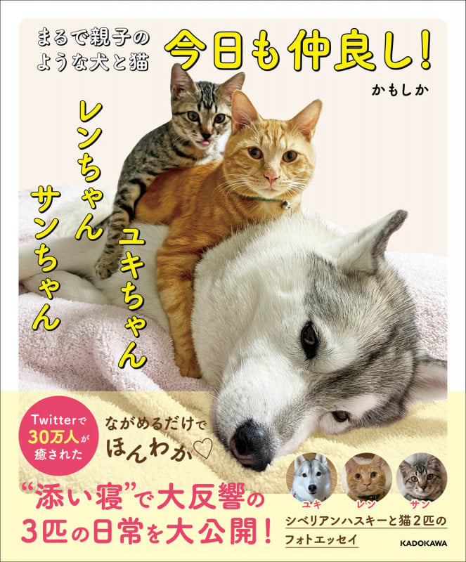 まるで親子のような犬と猫 今日も仲良し! ユキちゃん レンちゃん サンちゃんの詳細を見る
