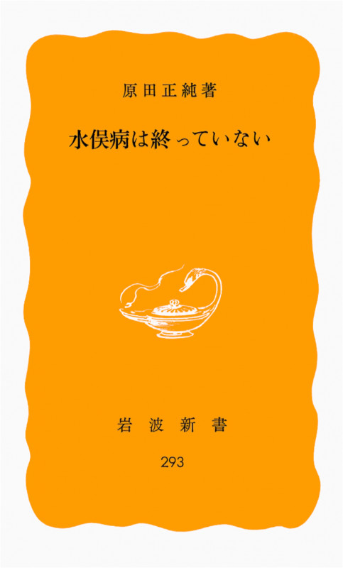 水俣病は終っていない (岩波新書)