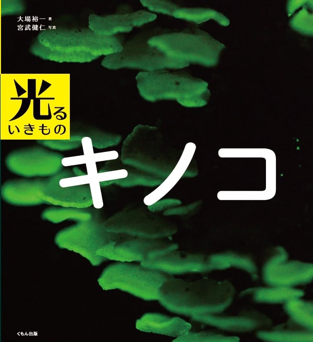 キノコ (光るいきもの)