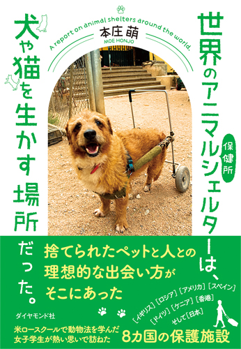 世界のアニマルシェルター保健所は、犬や猫を生かす場所だった。の詳細を見る