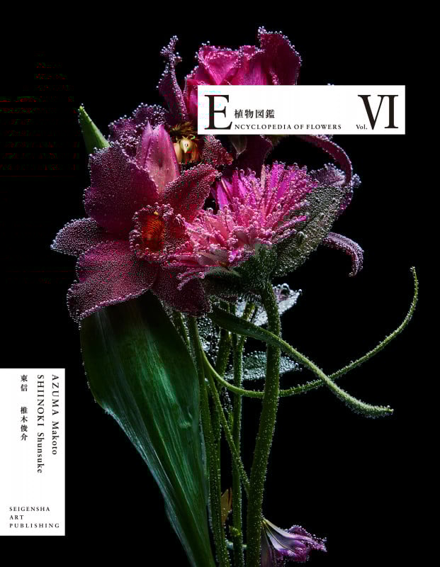 東信 おすすめランキング (12作品) - ブクログ