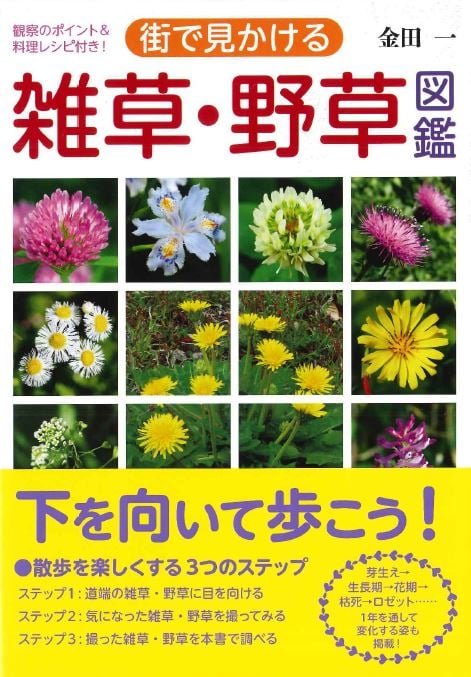 街で見かける 雑草・野草図鑑
