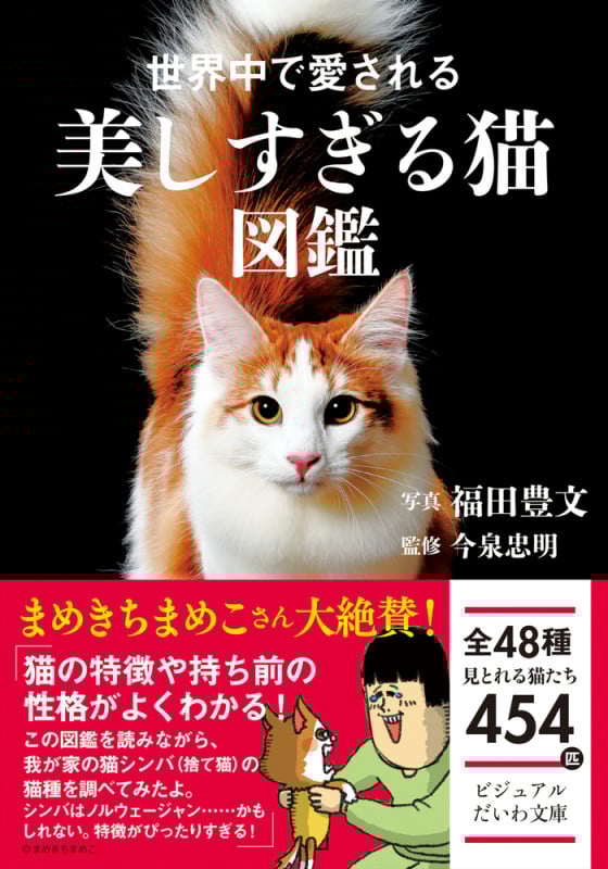 世界中で愛される美しすぎる猫図鑑 (ビジュアルだいわ文庫)