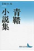 青鞜小説集 (講談社文芸文庫)の詳細を見る