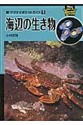 海辺の生き物 (新ヤマケイポケットガイド 9)