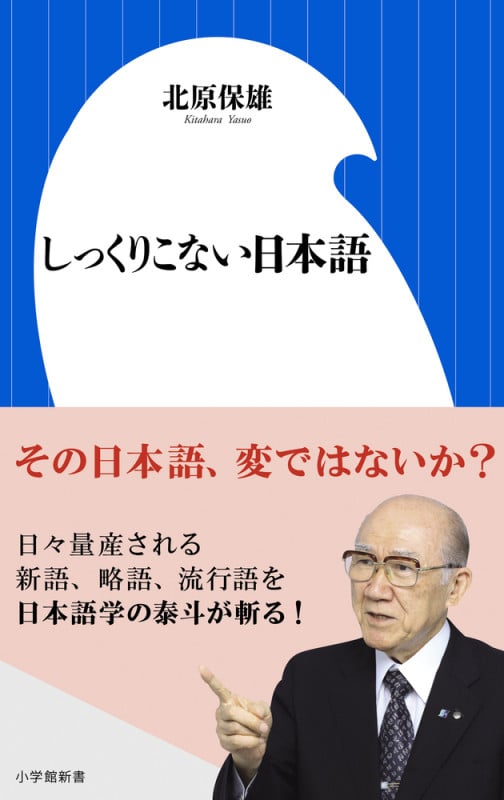 しっくりこない日本語 (小学館新書)