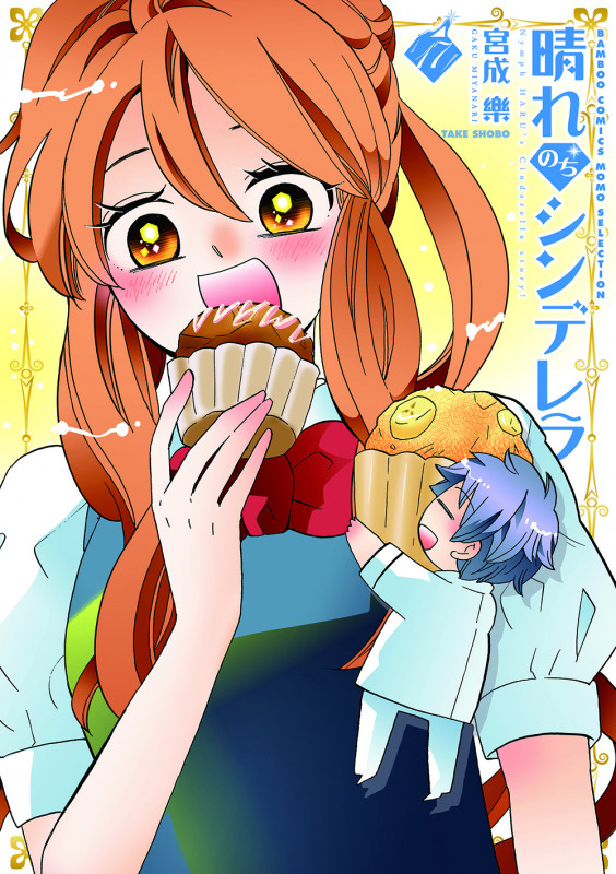 晴れのちシンデレラ (17) (バンブーコミックス MOMOセレクション)