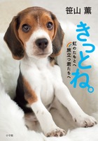 きっとね。 虹のたもとへ旅立つ君たちへ