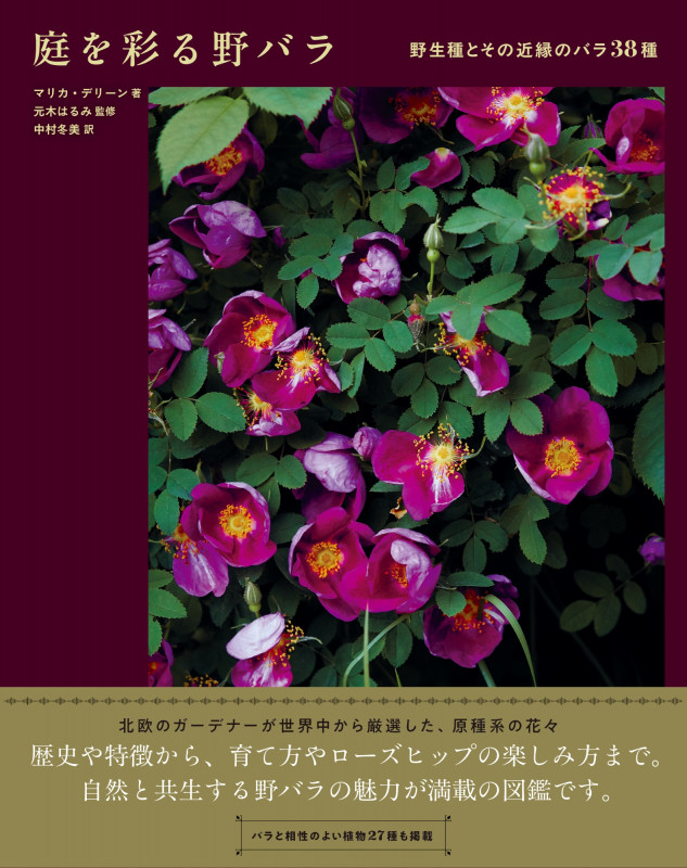 庭を彩る野バラ 野生種とその近縁のバラ38種