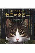 まいごになった ねこのタビー (児童書)