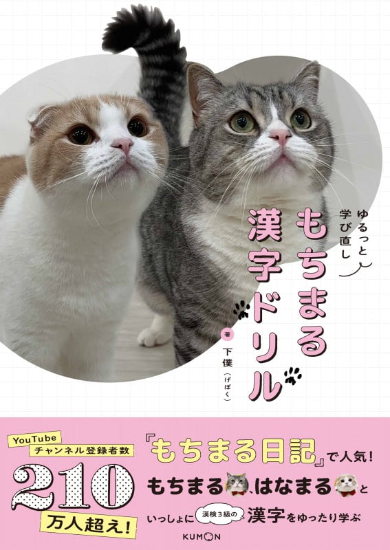 もちまる漢字ドリル ゆるっと学び直し