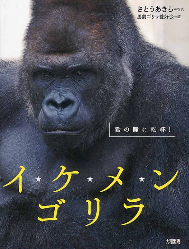 イ★ケ★メ★ンゴリラ 君の瞳に乾杯!