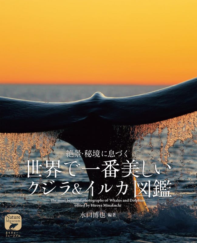 世界で一番美しいクジラ&イルカ図鑑 絶景・秘境に息づく (ネイチャー・ミュージアム)